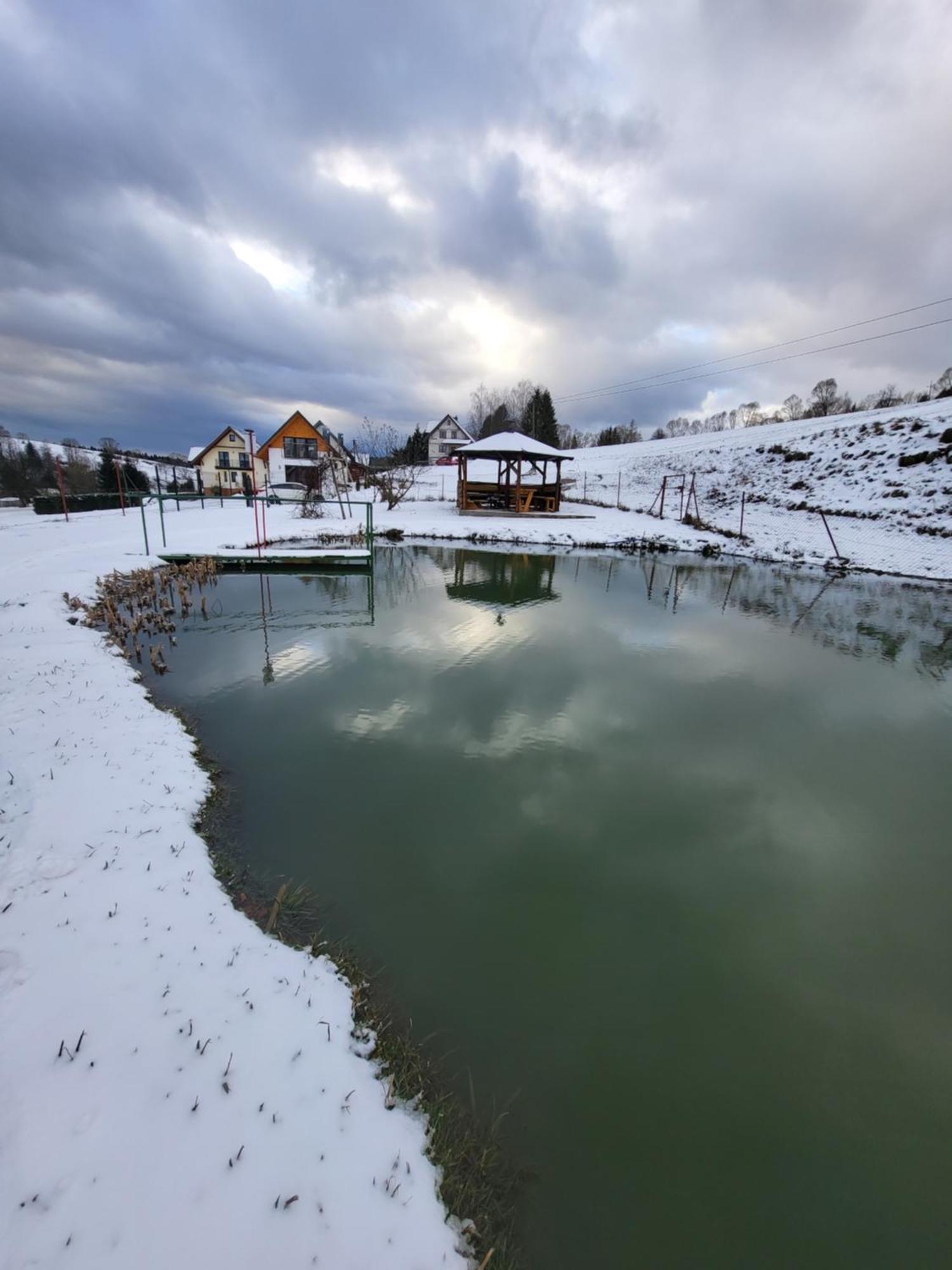 Holiday home Bieszczadzki Staw - Bieszczadski Wankowa *