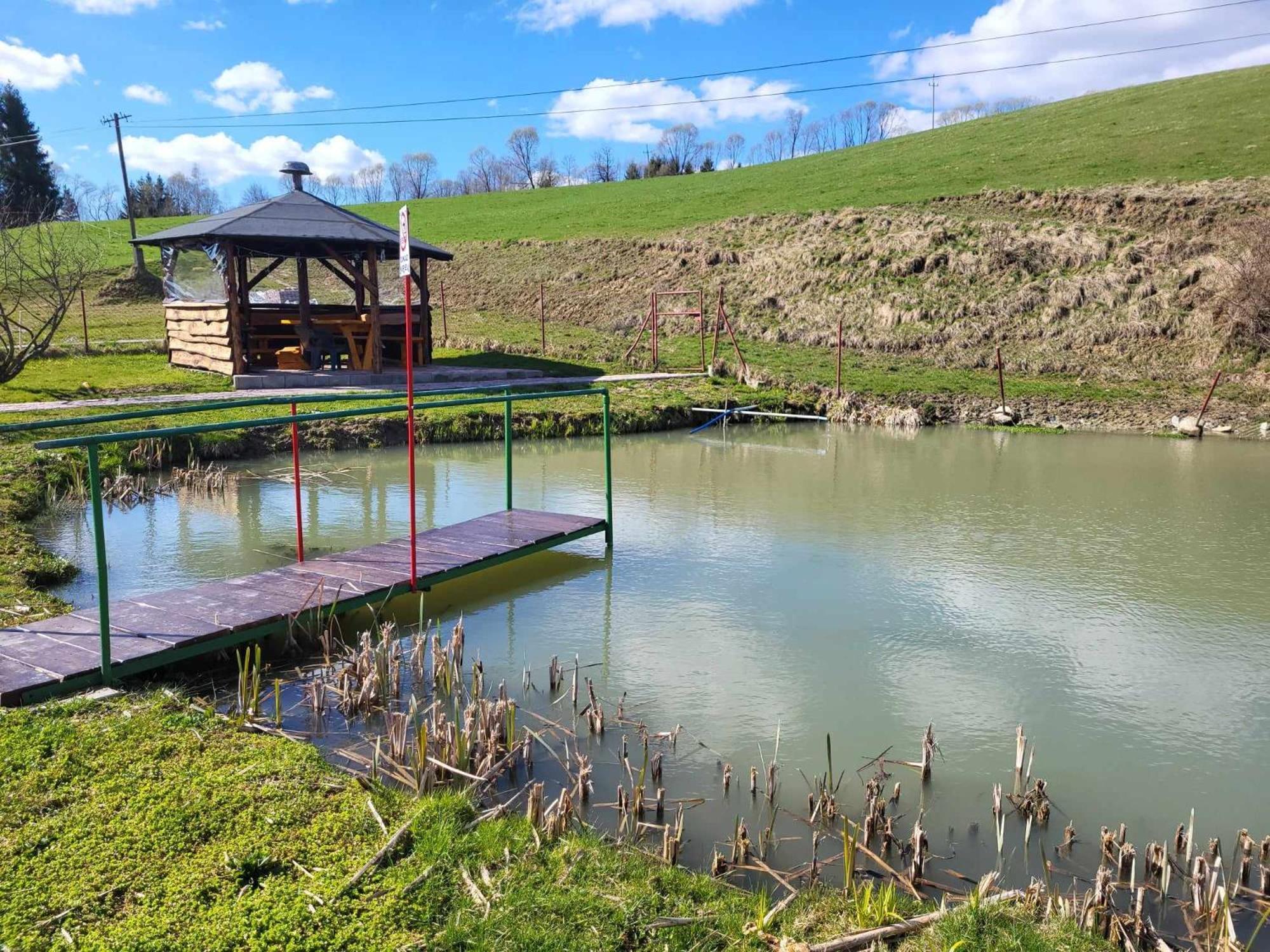 Holiday home Bieszczadzki Staw - Bieszczadski Wankowa